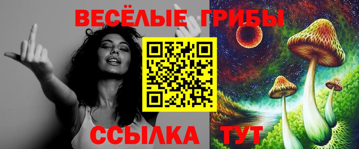 Псилоцибиновые грибы мицелий Химки